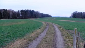 JPG05