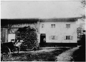 GN228-08-Lampert-Steinfink-Nord-1910