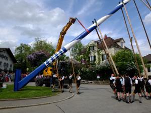 Maibaum Glonn 2018 (5) (Large)